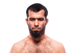 Muin Gafurov