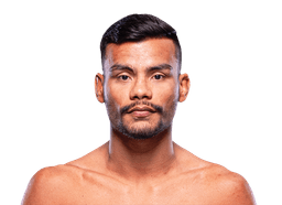Raulian Paiva